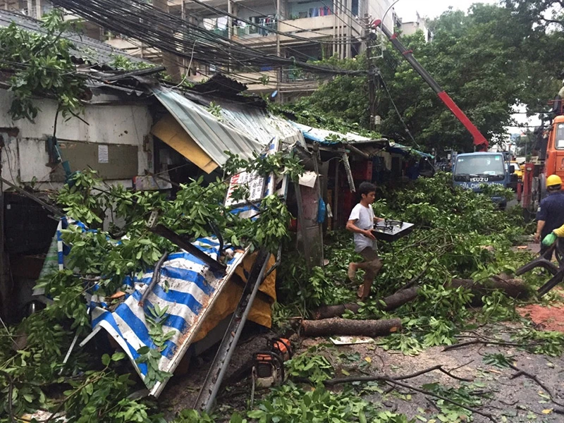 Tán cây quật trúng hai ngôi nhà khiến người dân gặp một phen hốt hoảng. 